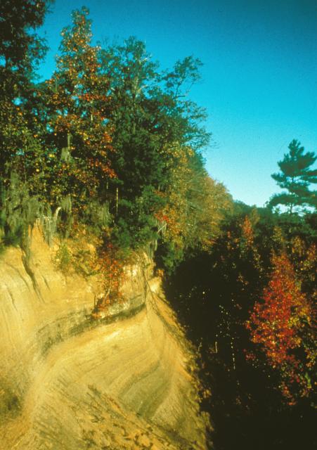  (<I></I>), Cliffs of the Neuse State Park, North Carolina, United States