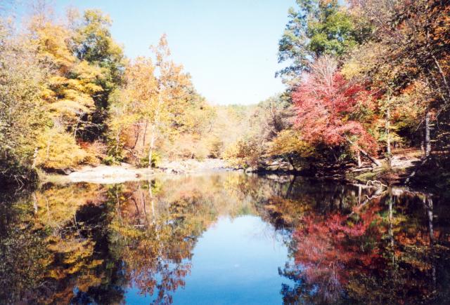  (<I></I>), Eno River State Park, North Carolina, United States