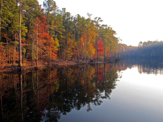  (<I></I>), Falls Lake State Recreation Area, North Carolina, United States