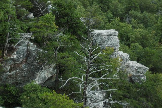  (<I></I>), Hanging Rock State Park, North Carolina, United States