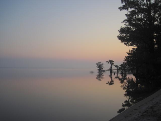  (<I></I>), Lake Waccamaw State Park, North Carolina, United States