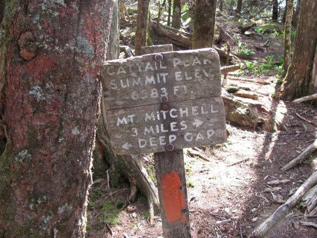  (<I></I>), Mount Mitchell State Park, North Carolina, United States