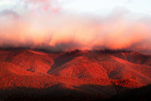  (<I></I>), Mount Mitchell State Park, North Carolina, United States