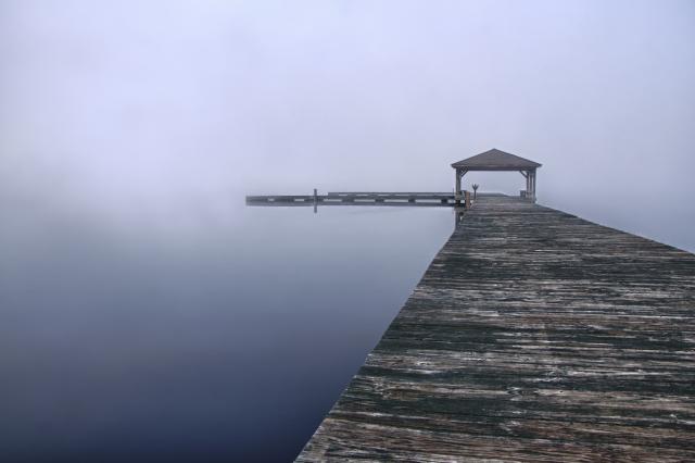 (<I></I>), Singletary Lake State Park, North Carolina, United States